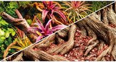 Hobby Foto Achterwand Colorful Jungle/Strangler Fig 50CM x 25M
