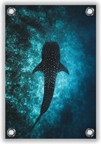Tuinposter Haai onder Water 40x60cm- Foto op Tuinposter (wanddecoratie voor buiten en binnen)