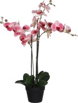 Kunstplant Orchidee / Phalaenopsis 3-tak zachtroze H75cm - HTT Decorations
