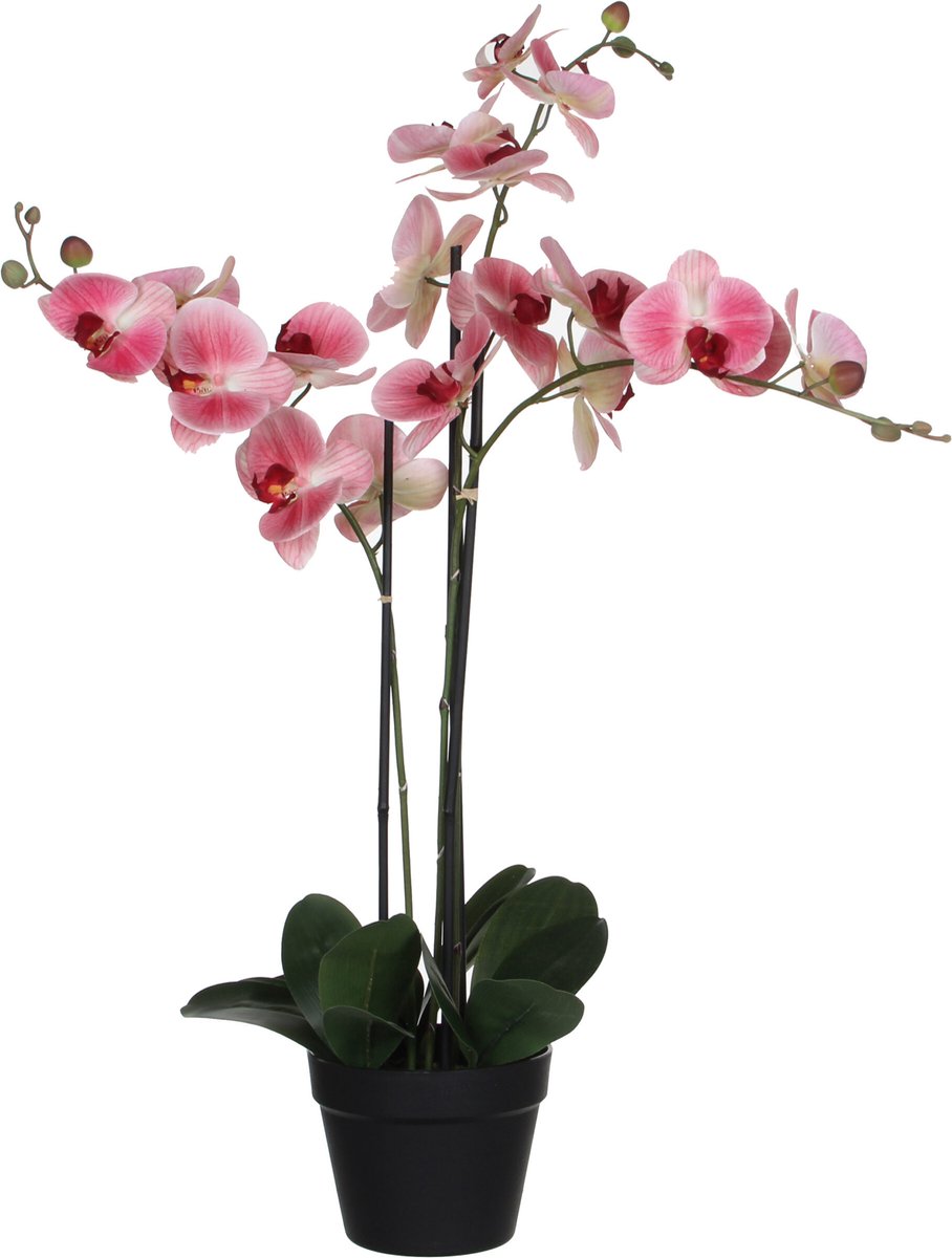 HTT Decorations Kunstplant Orchidee / Phalaenopsis 3-tak zachtroze H75cm - HTT Decorations kunstplanten
