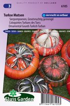 Sluis Garden - Cucurbita Turkse Muts Grote Vruchten