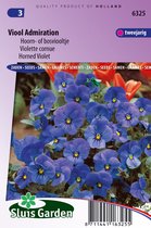 Sluis Garden - Violin Admiration (Large Flowered Wood Violet)