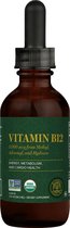 Bio Vitamin B12 | Vloeibaar en hooggedoseerd | Global Healing | 30 ml