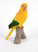 Papegaai - Hamac - Tuinbeeld