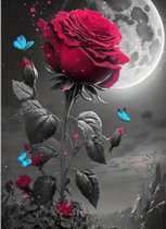Peinture Diamond rose 30x40 pierres rondes