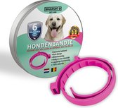 Vlooienband voor honden - Roze - 100% natuurlijk - Vlooien en teken - geschikt voor alle honden - anti allergie - zonder pesticiden