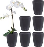 Set van 6 zelfbewaterende potten met lontensysteem en waterniveau-indicator voor binnen, orchideeënpot D 12 cm (antraciet, 1,3 l)