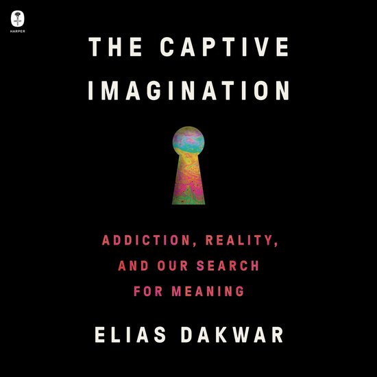 The Captive Imagination - cover