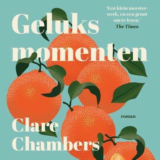 Geluksmomenten - cover