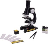 microscope explorateur scientifique