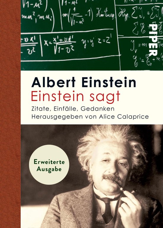 Einstein sagt - cover