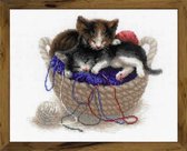 Kittens in a Basket Aida Borduurpakket Riolis