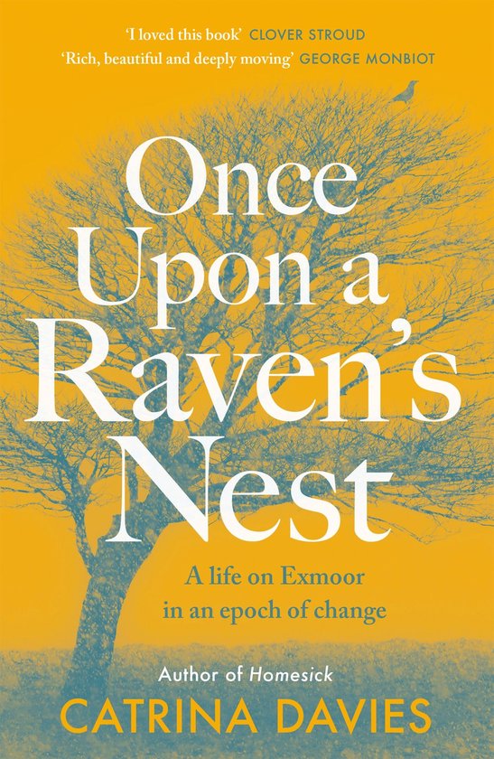 Once Upon a Raven's Nest - cover