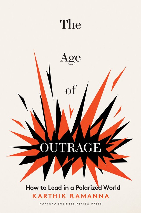 The Age of Outrage - cover