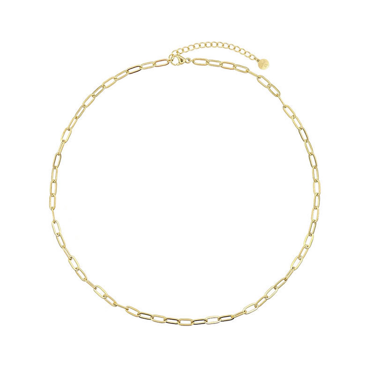 Mint15 Ketting 'Chain Necklace' - Goud RVS/Stainless Steel