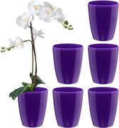 Set de 6 pots à orchidées D 12 cm pot auto-arrosant avec système de mèche et indicateur de niveau d'eau pour intérieur - violet - 1,3 l
