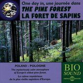 Sound Effects-Birds - Pine Forest In Poland (CD)