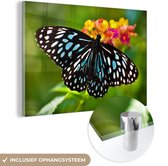 MuchoWow® Glasschilderij 180x120 cm - Schilderij acrylglas - Blauwe Tijger vlinder - Foto op glas - Schilderijen
