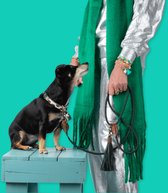 DWAM Dog with a Mission Hondenriem – Riem voor honden – Groen – Polyester/Leer – S – 155 x 1 cm – Bowie
