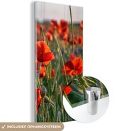 MuchoWow® Peinture sur Verre - Fleurs - Coquelicots - Nature - Rouge - 20x40 cm - Peintures sur Verre Acrylique - Photo sur Glas