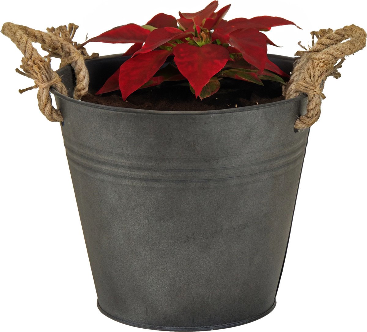 Goedkoopste Mega Collections Emmer/plantenpot/bloempot Old Rope - zink - antraciet - D30 X H29 cm