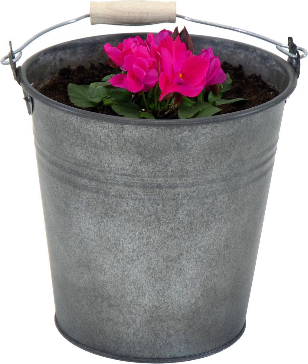 Goedkoopste Mega Collections Emmer/plantenpot/bloempot Eddy - zink - vintage antraciet - D16 X H14 cm