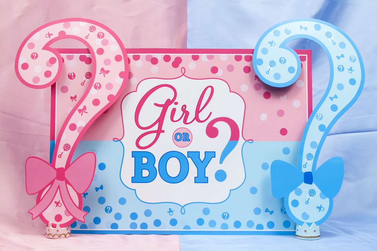 Gender reveal Party Pakket vlag ballonnen vlaglijnen servetten bekers bordjes en decoratie 54 stuks