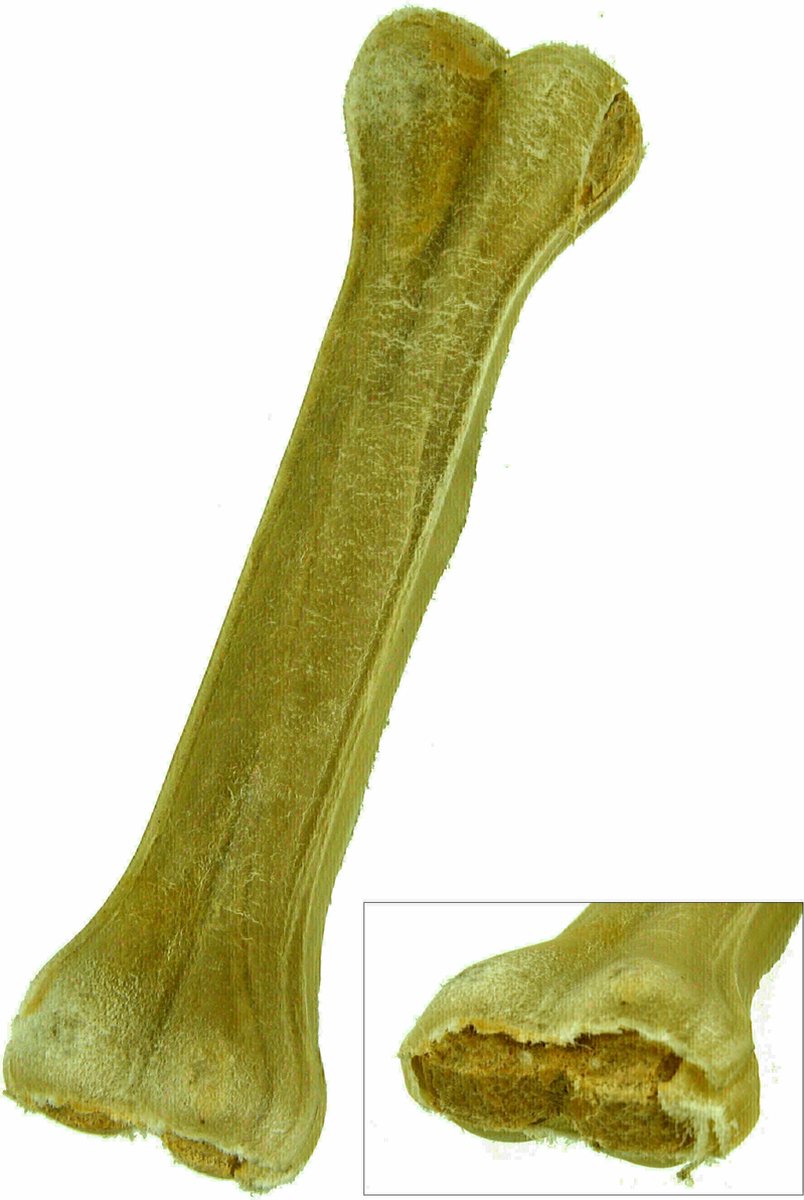 Petsnack - Hondensnack - Geperst Kauwbot Gevuld Met Zalm - Gedroogde Buffelhuid - 20 cm - 5 stuks