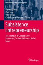 Contributions to Management Science - Subsistence Entrepreneurship