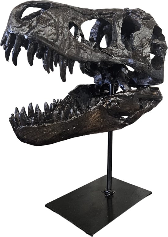 Foto: T rex schedel xxl op metalen standaard replica tyrannosaurus rex dinosaurus fossiel luxe decoratie 30x25 cm