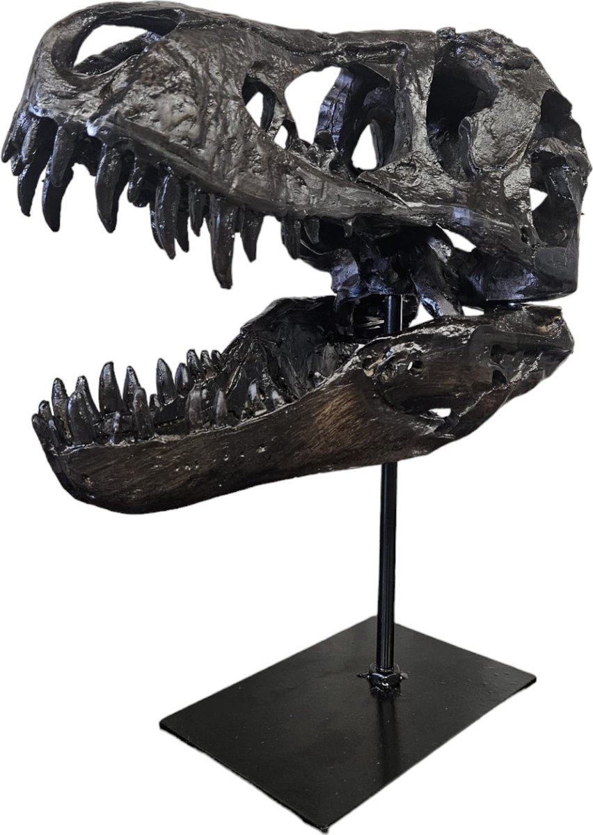 GreatGift - T-Rex Schedel XXL op Metalen Standaard - Replica - Tyrannosaurus Rex - Dinosaurus - Fossiel - Luxe decoratie - 30x25 cm