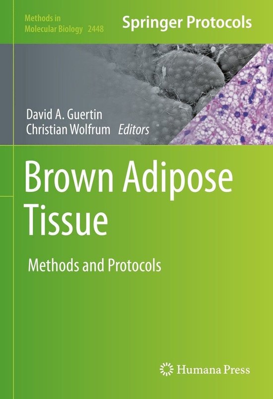 Methods in Molecular Biology 2448 - Brown Adipose Tissue - cover