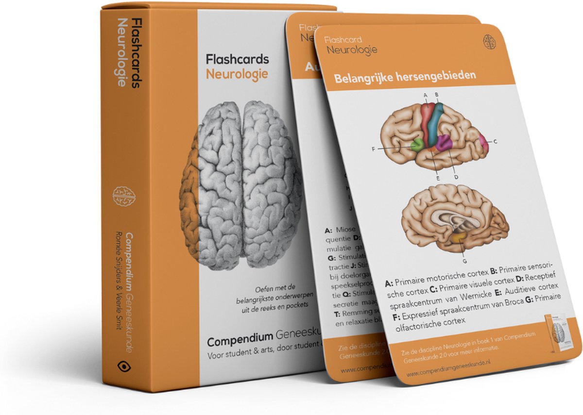 Flashcards Neurologie