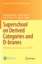 Springer Proceedings in Mathematics & Statistics- Superschool on Derived Categories and D-branes