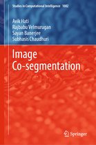Studies in Computational Intelligence- Image Co-segmentation