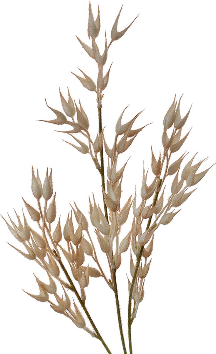 Clayre & Eef Kunstbloem 72 cm Beige Kunststof