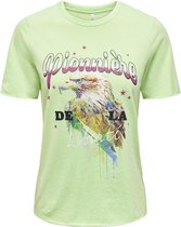 Only T-shirt Onllucy Life Reg S/s Top Box Jrs 15307412 Patina Green/liberte Dames Maat - S