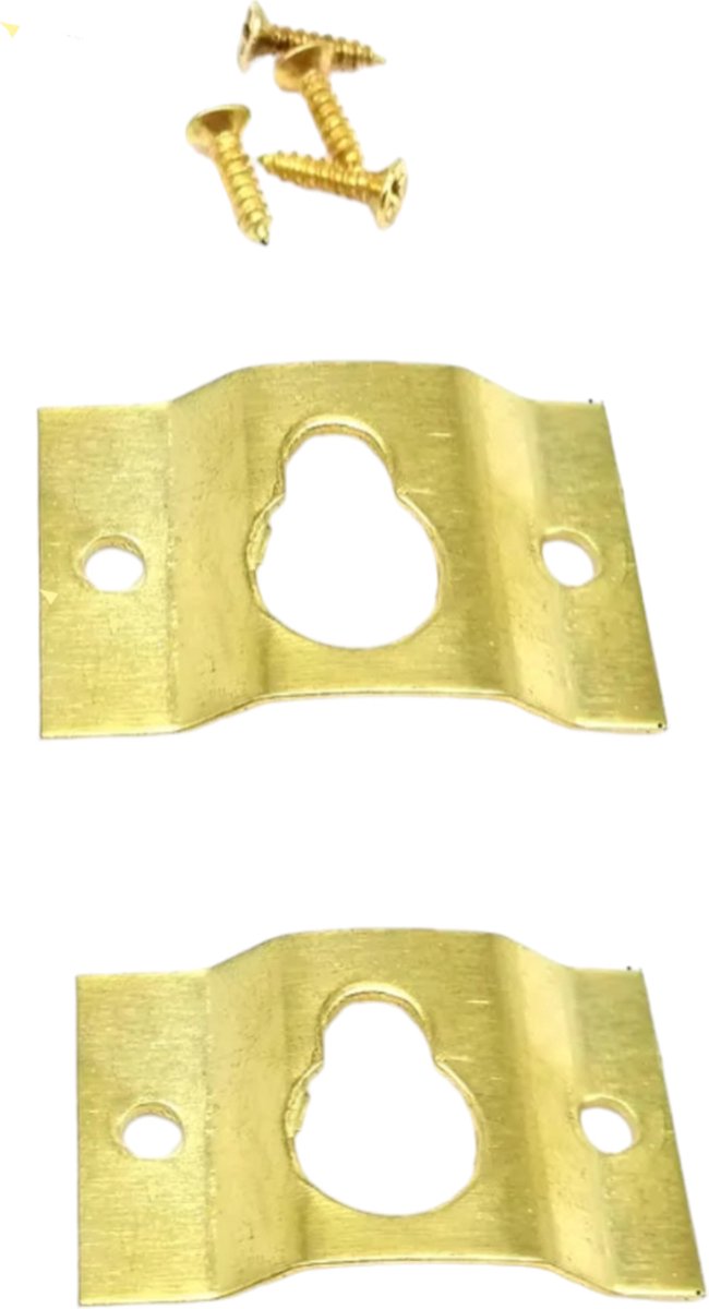 Schilderij Haakjes + Schroeven Set - Canvas - Fotolijst - Hangers 29x18mm - Goud - 5stuks