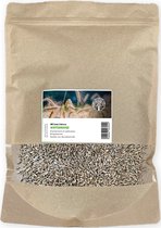 MRS Seeds & Mixtures Winterrogge – groenbemester – voedergewas – droogtetolerant – kan voor alle ondergronden gebruikt worden – gereinigd en ontsmet – niet gevoelig voor nachtvorst – 100 procent rogge