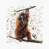 Bree Merryn Otis The Orangutan borduren (pakket) BMCS11