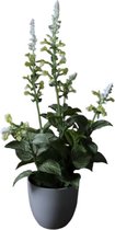 Kunstplant salie - 47 cm hoog - plant in pot - salie - kunstplanten voor binnen - decoratie