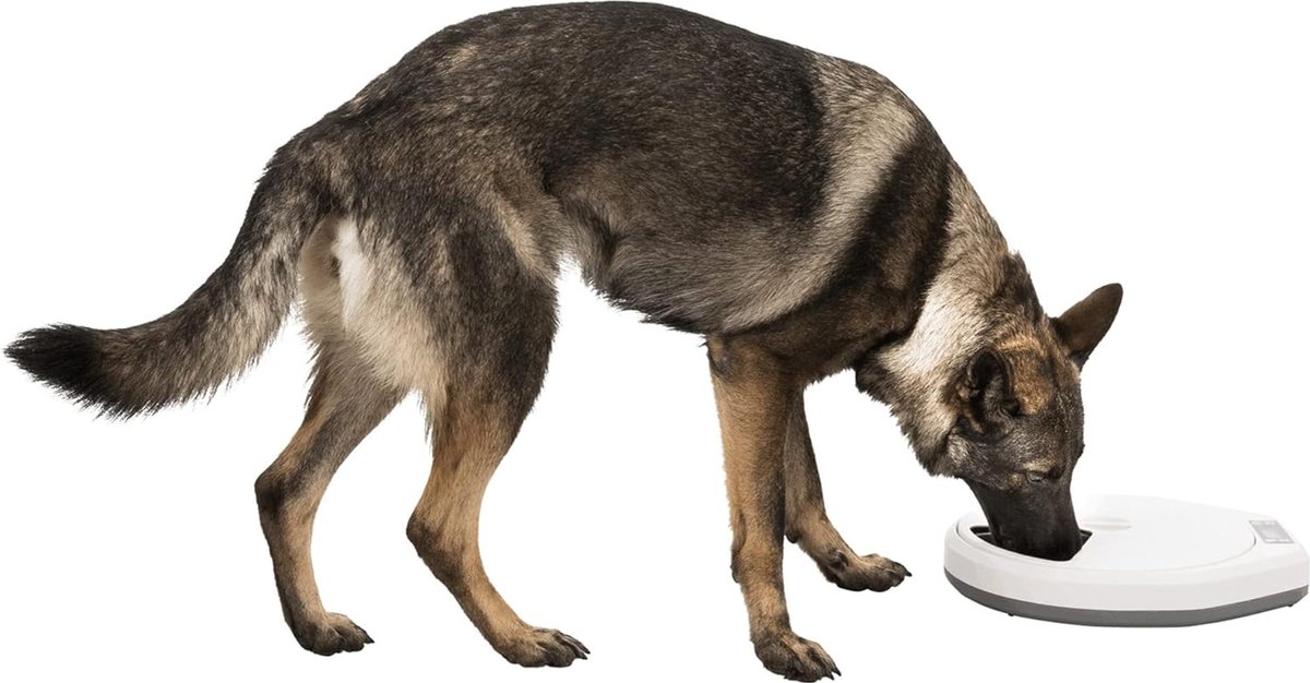 Automatische voederautomaat TX5 voor honden met timer - afbeelding 2