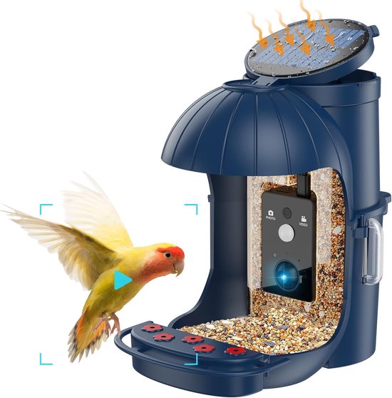 Mangeoire à oiseaux avec énergie solaire - Distributeur automatique de nourriture - Design résistante aux intempéries - Convient pour le Jardin et la terrasse - Durable et respectueux de l'environnement - Matériel de montage inclus