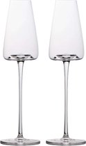 Intirilife 2x Champagneglas met modern design - 220 ml inhoud - Glas voor mousserende wijn, Prosecco, vaatwasmachinebestendig, kristalglas, schokbestendig
