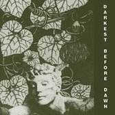 Dark Day - Darkest Before Dawn (CD)