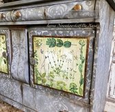 Refonte avec Prima - Découpage - Verdure