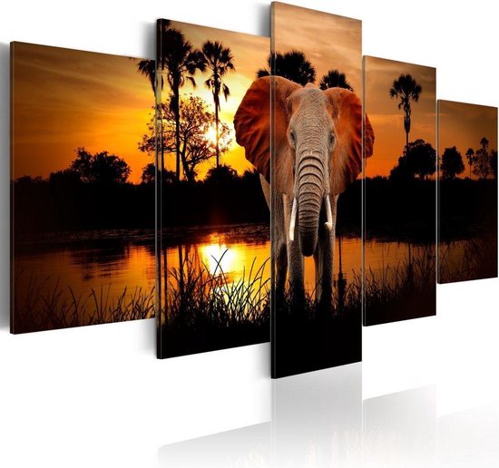 Peinture - Éléphant au bord d'un lac avec soleil couchant, 5 trappes