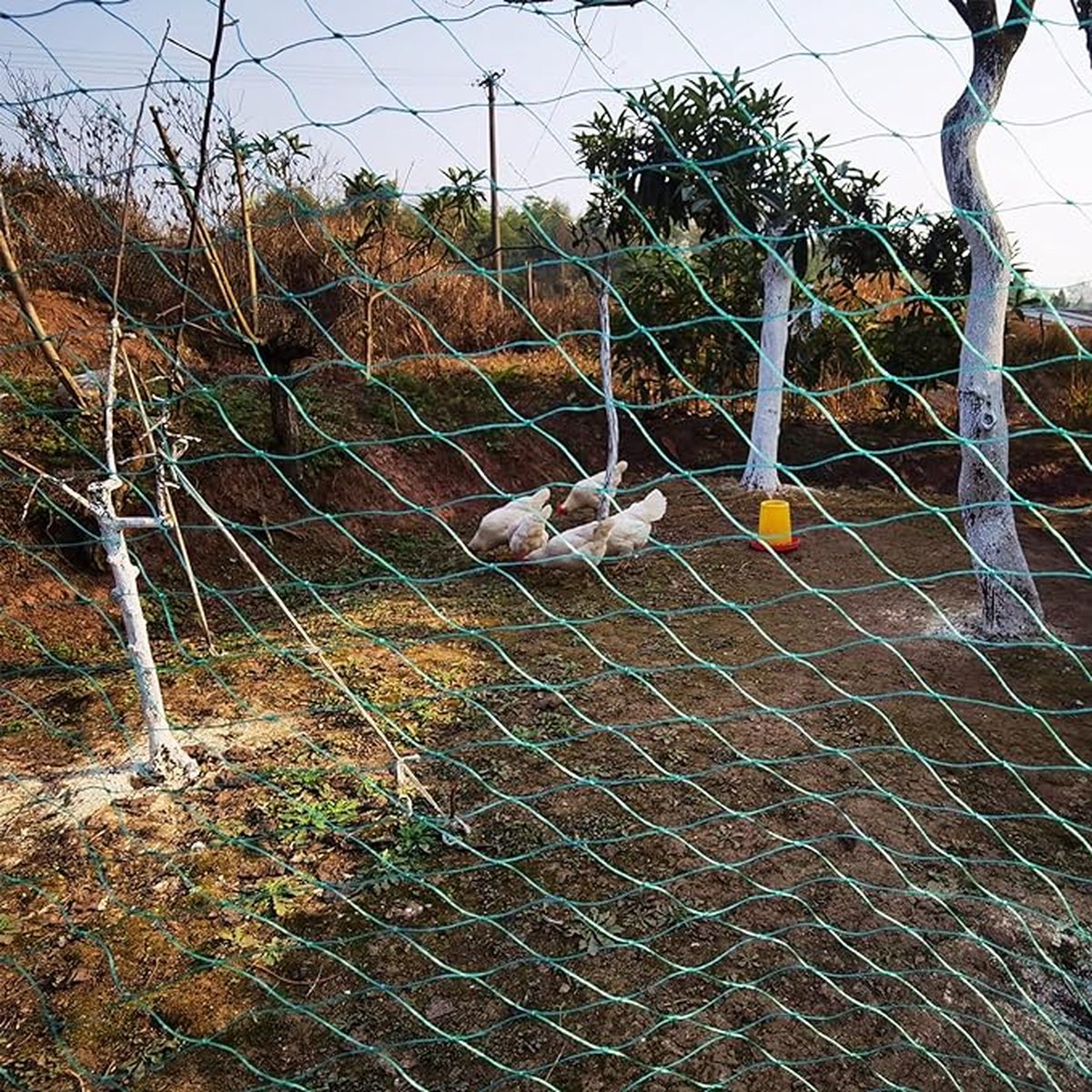 CLORD Vogelbeschermingsnet kippennet tuinnet gevogeltenet Groen met 4 cm mazen. Dit sterke vogelnet dient als vijvernet fruitbescherming en zwembadnet. UV-bestendig en robuust