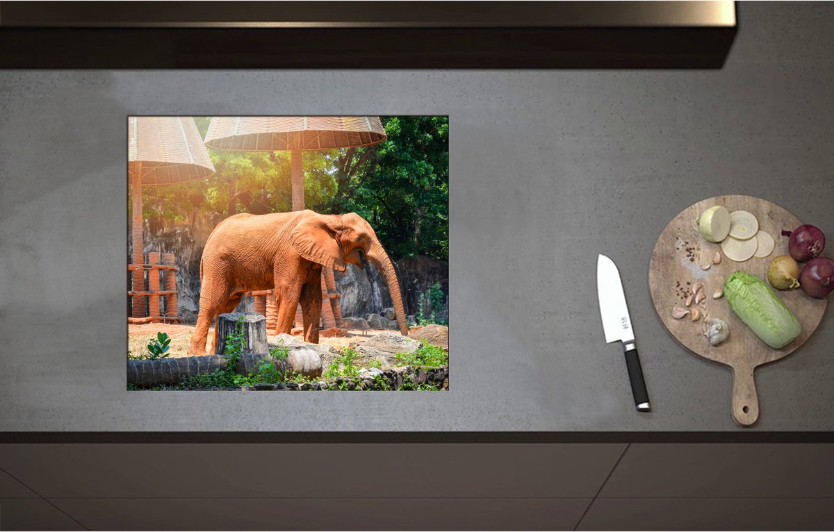 Inductieplaat Beschermer - Aziatische Lachende Olifant tussen de Planten - 58x50 cm - 2 mm Dik - Inductie Beschermer - Bescherming Inductiekookplaat - Kookplaat Beschermer van Zwart Vinyl