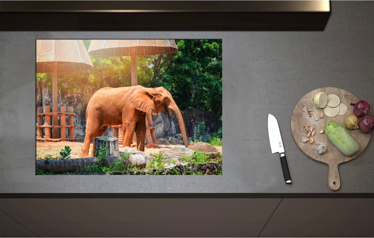 Inductieplaat Beschermer - Aziatische Lachende Olifant tussen de Planten - 75x55 cm - 2 mm Dik - Inductie Beschermer - Bescherming Inductiekookplaat - Kookplaat Beschermer van Zwart Vinyl